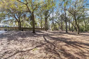 6711 Bonnie Blue Dr, Wesley Chapel, FL 33544 - Photo 35