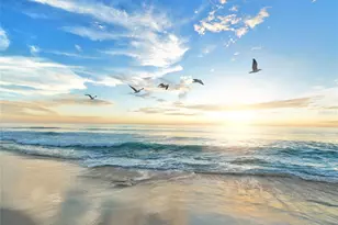 1260 Dolphin Bay Way, Sarasota, FL 34242 - Photo 67