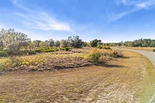 40710 11th Ave E, Myakka City, FL 34251 - Photo 7