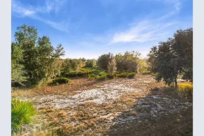 40710 11th Avenue E, Myakka City, FL 34251 - Photo 11