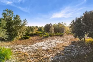 40710 11th Ave E, Myakka City, FL 34251 - Photo 11