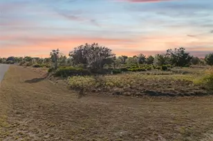 40710 11th Ave E, Myakka City, FL 34251 - Photo 21