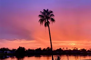 4216 Abbotsford St, North Port, FL 34287 - Photo 3