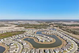 10516 Chippewa Dr, Parrish, FL 34219 - Photo 39