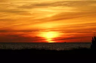 1001 Benjamin Franklin Dr, Sarasota, FL 34236 - Photo 39