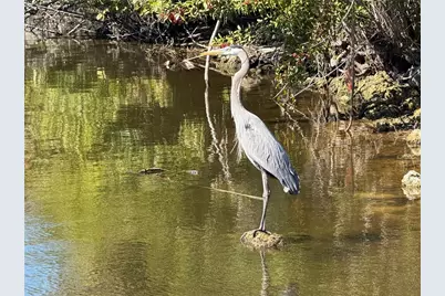 2 Goldfinch Drive, Placida, FL 33946 - Photo 15