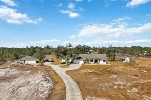 10222 289th St E, Myakka City, FL 34251 - Photo 49