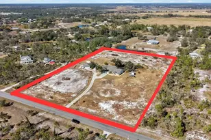 10222 289th St E, Myakka City, FL 34251 - Photo 45