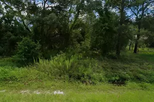 2851 Landover Blvd, Spring Hill, FL 34608 - Photo 1