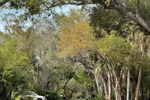 2208 Robinson Ave, Sarasota, FL 34232 - Photo 25