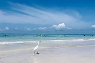 102 Sunset Ln, Holmes Beach, FL 34217 - Photo 13