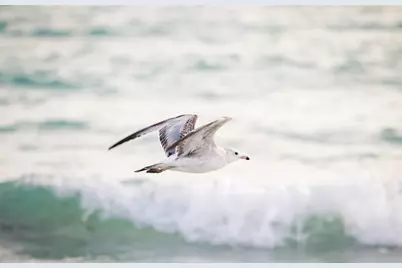 116 Pass Key Road #116, Sarasota, FL 34242 - Photo 47