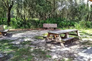 3008 Arch Dr, Sarasota, FL 34232 - Photo 41