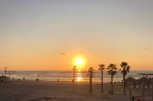 4216 Plumosa Street W, Bradenton, FL 34210 - Photo 87