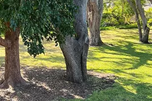 4035 S School Ave, Sarasota, FL 34231 - Photo 5