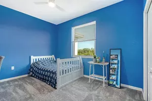 523 Grand Preserve Cove, Bradenton, FL 34212 - Photo 25