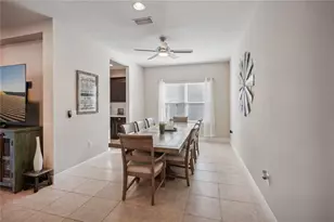 10910 Blue Magnolia Ln, Parrish, FL 34219 - Photo 29