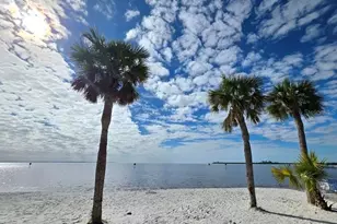 556 Mimosa Ave NW, Port Charlotte, FL 33952 - Photo 83