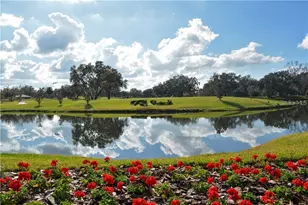 3106 Lakeside Cir, Parrish, FL 34219 - Photo 55