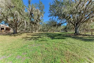 850 Palm View Way, Sarasota, FL 34240 - Photo 57