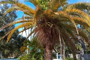 1010 Indian Beach Dr Dr, Sarasota, FL 34234 - Photo 5