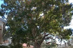 1010 Indian Beach Dr Dr, Sarasota, FL 34234 - Photo 7