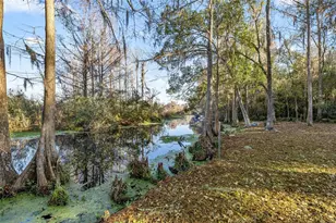 3411 W Cypress Dr, Dunnellon, FL 34433 - Photo 31