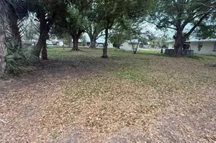 1327 SE Vermont Ave, Arcadia, FL 34266 - Photo 17