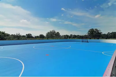 14324 Silver Trout Drive, Lakewood Ranch, FL 34202 - Photo 59