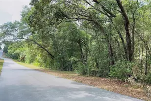 8 S Bauer Rd, Lecanto, FL 34461 - Photo 1