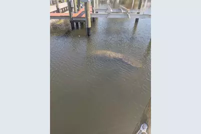 511 Dona Drive, Nokomis, FL 34275 - Photo 39