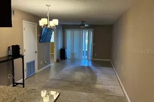 3806 N Oak Dr, Tampa, FL 33611 - Photo 5