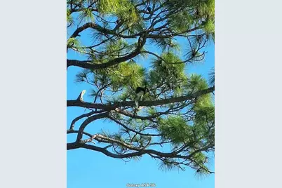 7930 34th Avenue W #202, Bradenton, FL 34209 - Photo 25