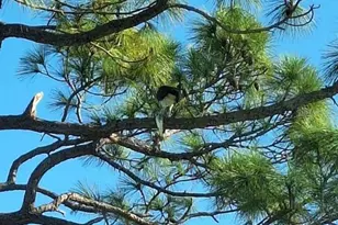 7930 34th Ave W, Bradenton, FL 34209 - Photo 25