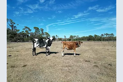 15260 Sugar Bowl Road, Myakka City, FL 34251 - Photo 15