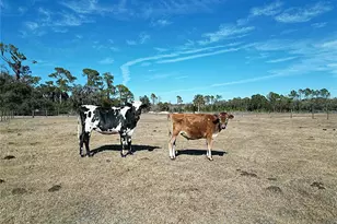 15260 Sugarbowl Rd, Myakka City, FL 34251 - Photo 15