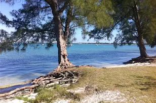 656 Bird Bay Cir, Venice, FL 34285 - Photo 59