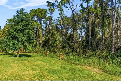 7020 Scrub Jay Drive, Sarasota, FL 34241 - Photo 51