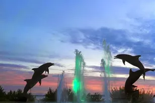 12410 Osorio Ct, Sarasota, FL 34238 - Photo 51