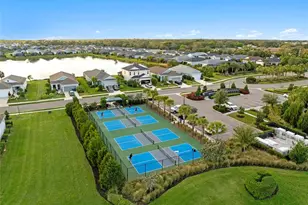 13784 Old Creek Ct, Parrish, FL 34219 - Photo 47