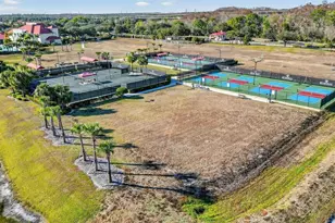 17364 Walnut Run Dr, Alva, FL 33920 - Photo 73