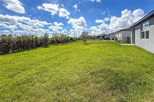 10170 Daybreak Glen, Parrish, FL 34219 - Photo 61