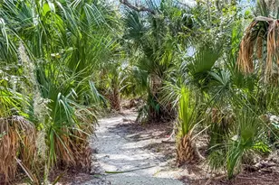 10170 Daybreak Glen, Parrish, FL 34219 - Photo 69