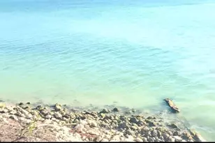 8134 St Kitts Cir, Englewood, FL 34224 - Photo 19