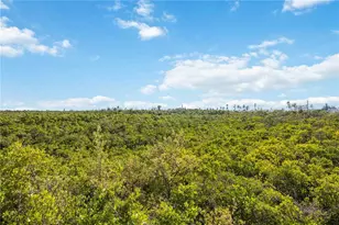 3607 E Bay Dr, Holmes Beach, FL 34217 - Photo 39