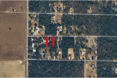 Sw 93rd Place, Dunnellon, FL 34432 - Photo 3