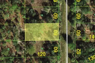 13179 Santa Maria Dr, Punta Gorda, FL 33955 - Photo 1