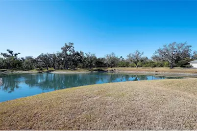 3022 Woodland Fern Drive, Parrish, FL 34219 - Photo 31