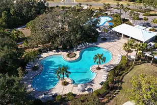 10427 Ladybug Cv, Parrish, FL 34219 - Photo 19