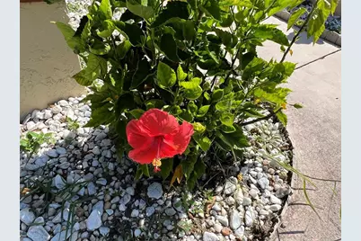 19358 Edgewater Drive, Port Charlotte, FL 33948 - Photo 3